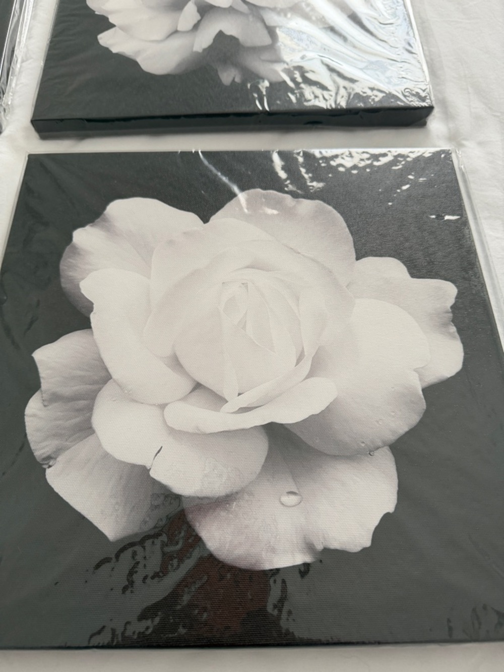 Black & White Floral Canvas Wall Art - Set of 4 - Picture 3 of 12